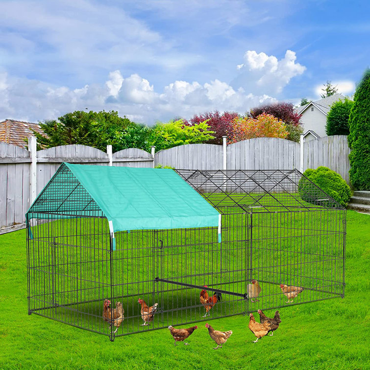 Chicken playpen 2024